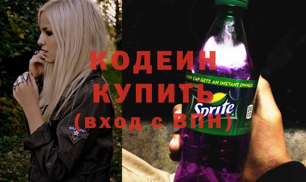 СК Кодинск