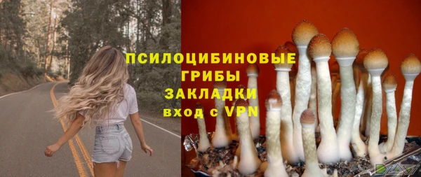 СК Кодинск