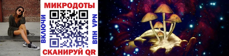 Псилоцибиновые грибы Psilocybine cubensis  hydra маркетплейс  Иркутск 