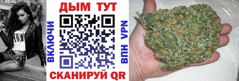 Шишки марихуана сатива  даркнет сайт  Иркутск 